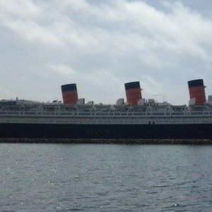 Meet your Posher, Elvis